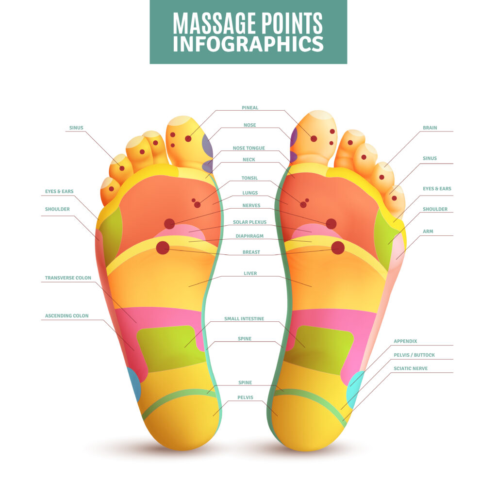 riflessologia plantare, massaggi ai piedi, mappa dei piedi, agopuntura
