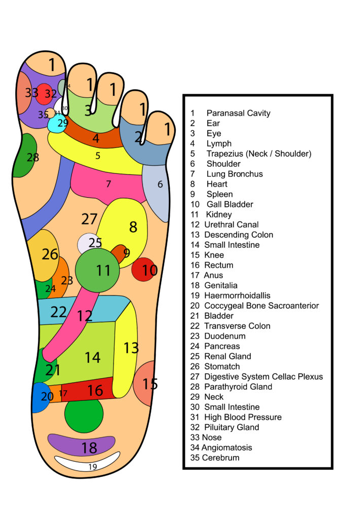 punti di riflessologia plantare, mappa del piede, riflessologia plantare